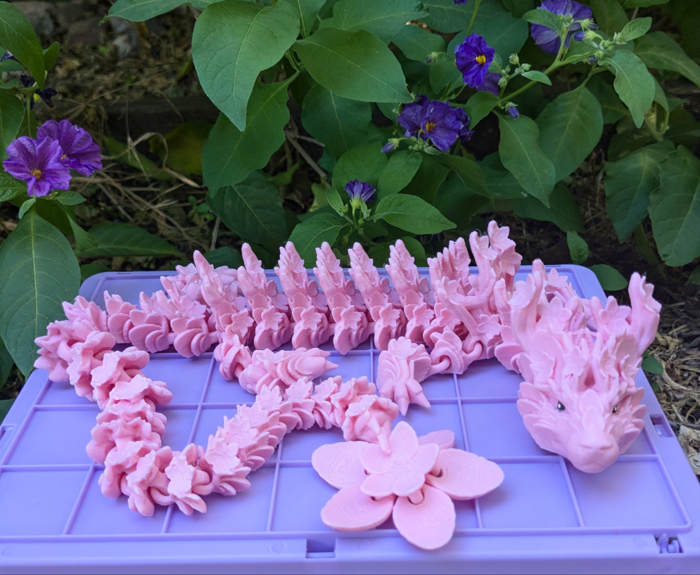 Cherry Blossom Dragon