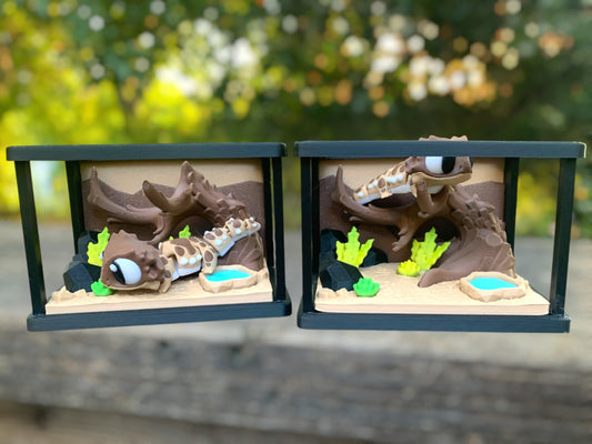 Bearded Dragon Enclosure