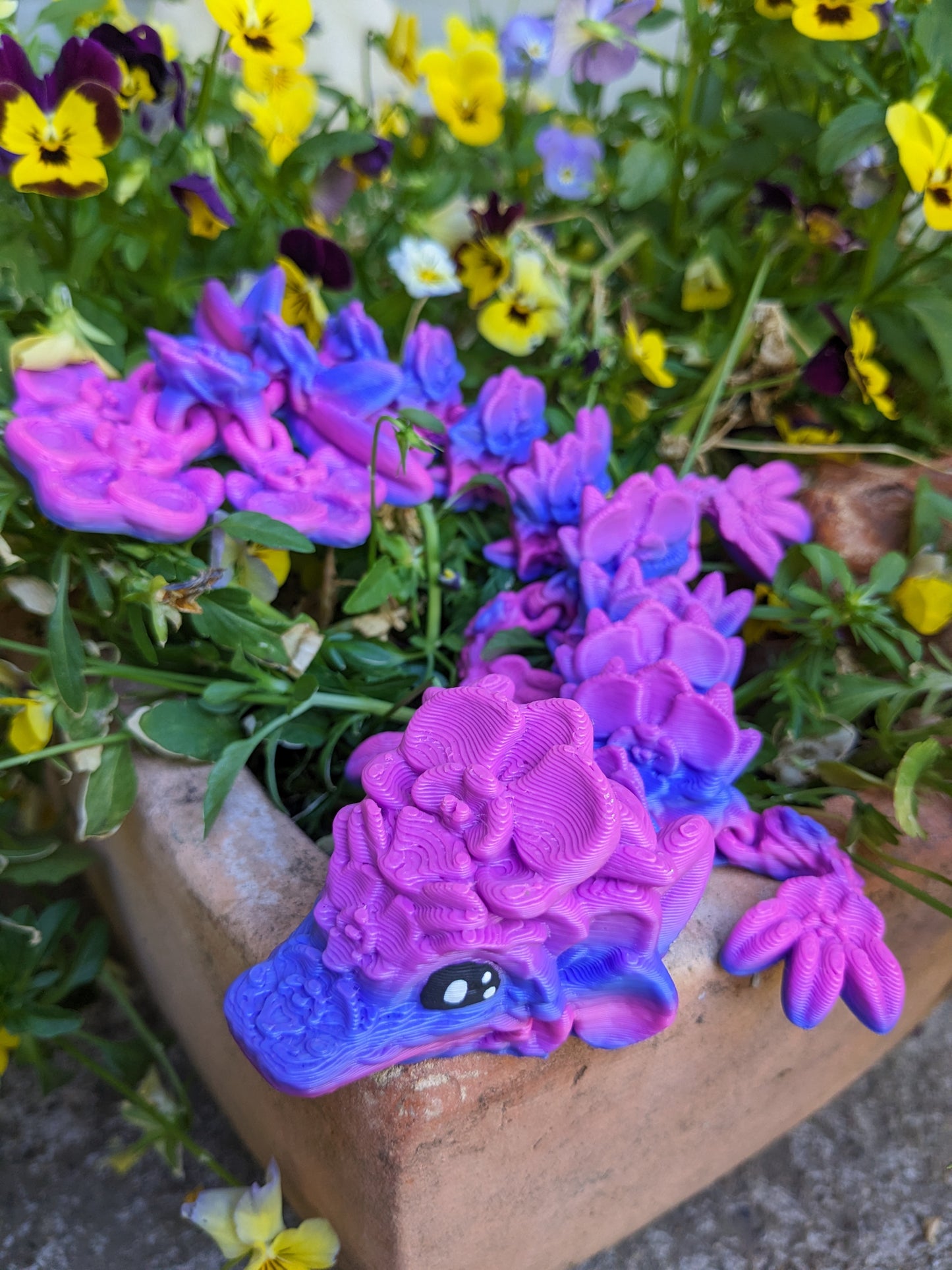 Orchid dragon