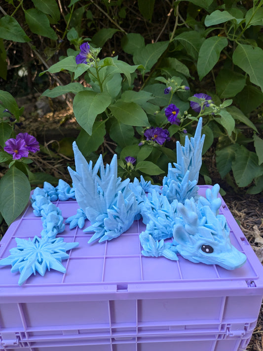 Frozen Winter dragon