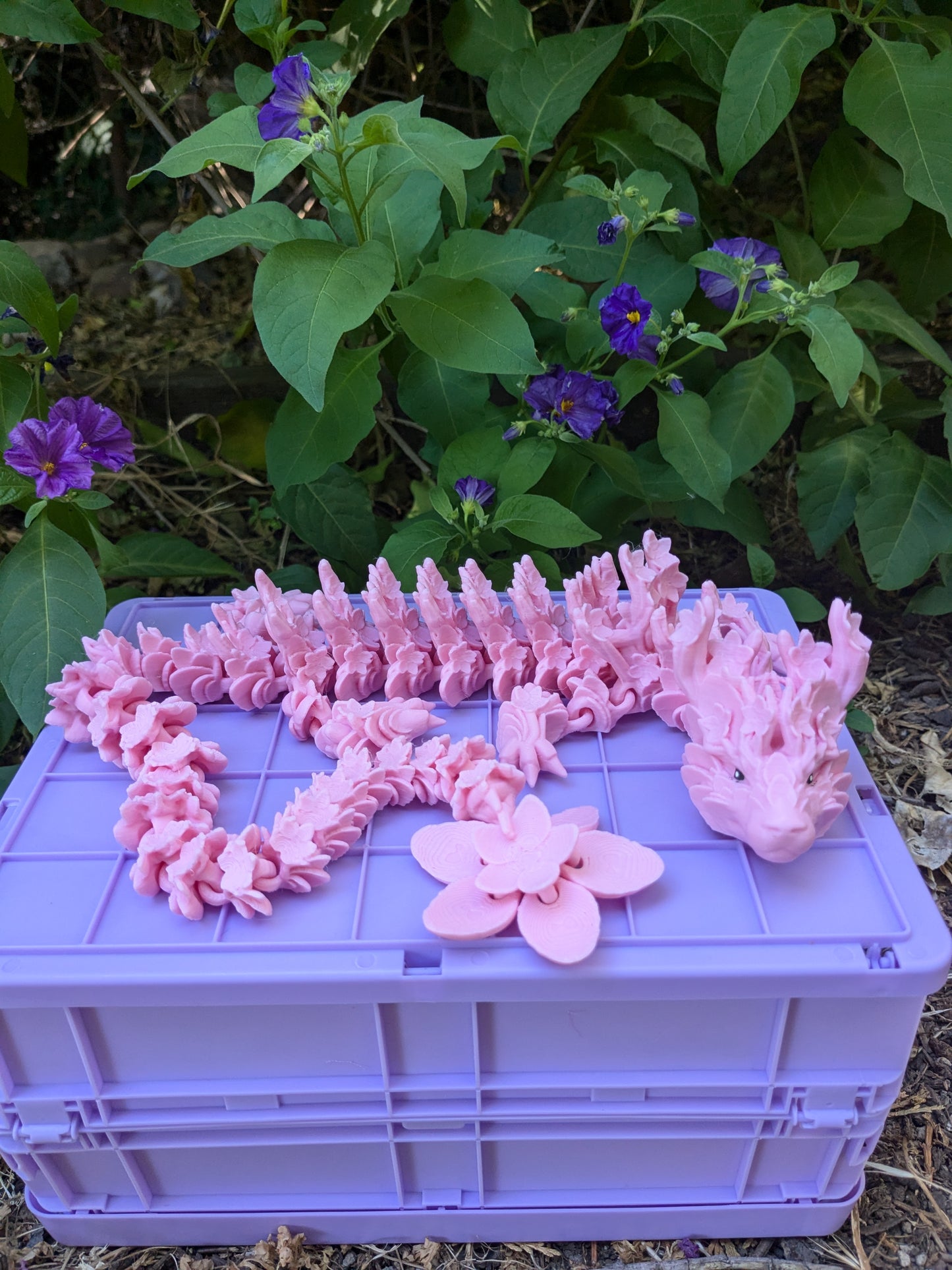 Cherry Blossom Dragon