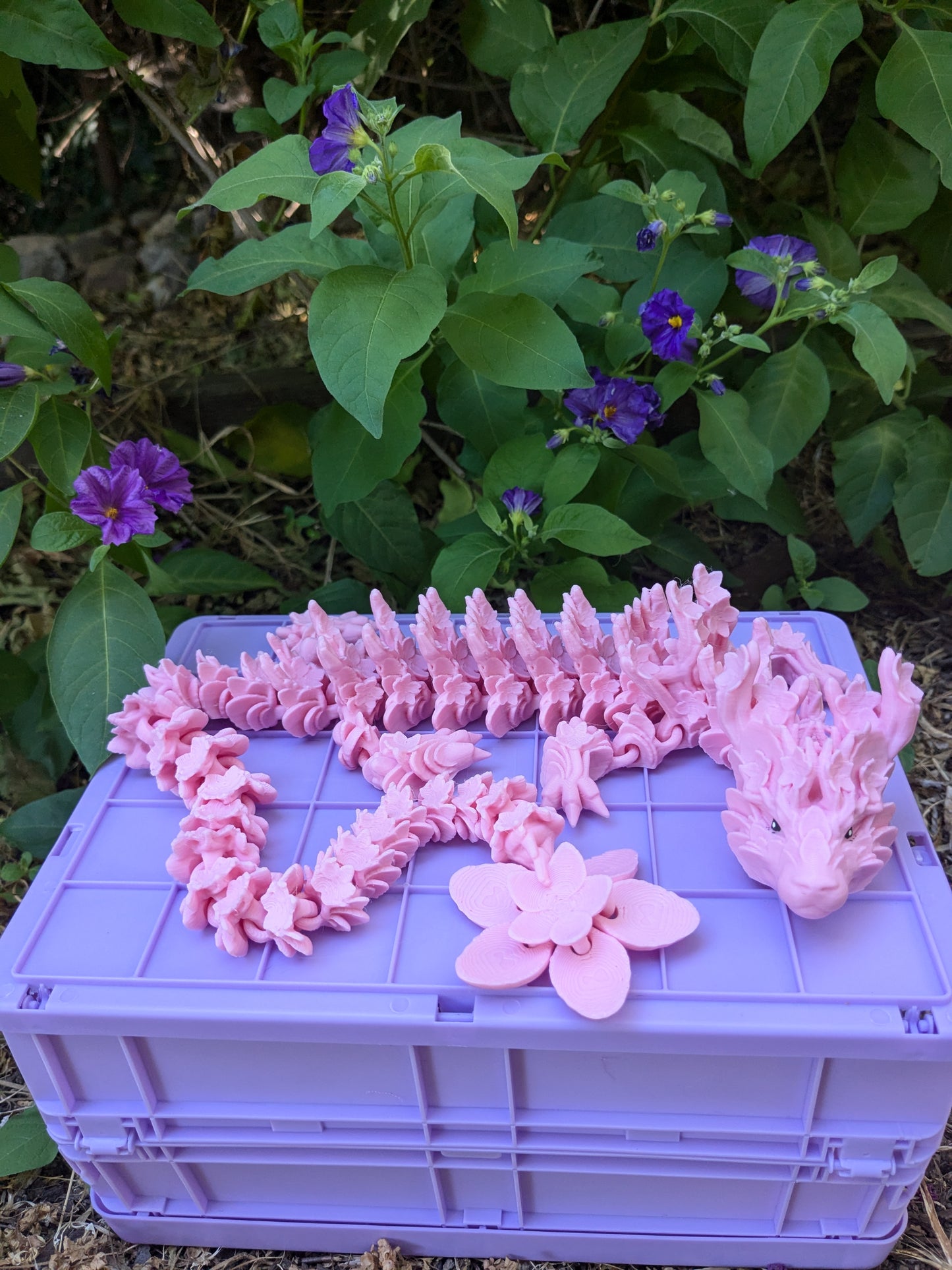 Cherry Blossom Dragon