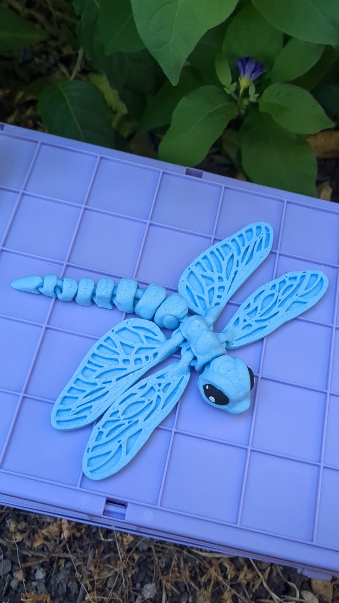 Dragonfly flexi