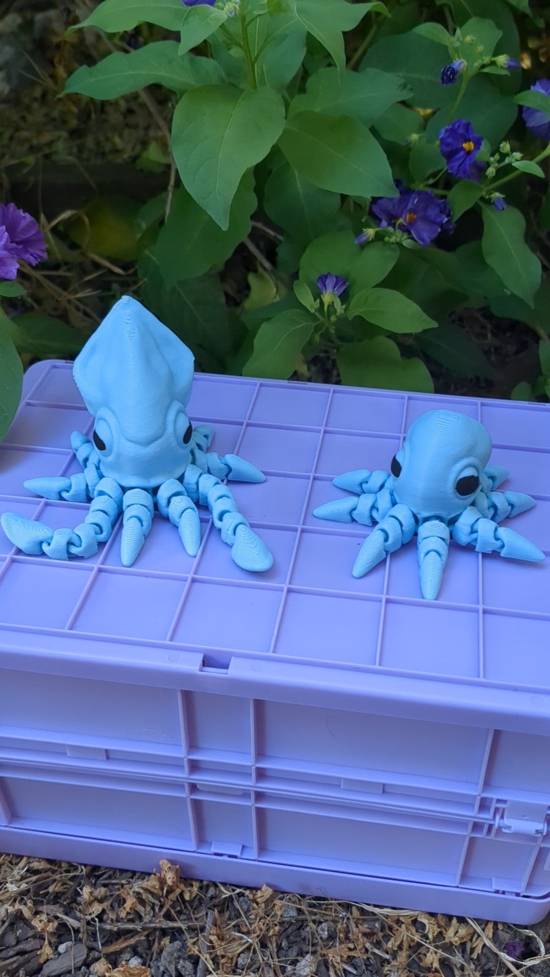 Squid flexi