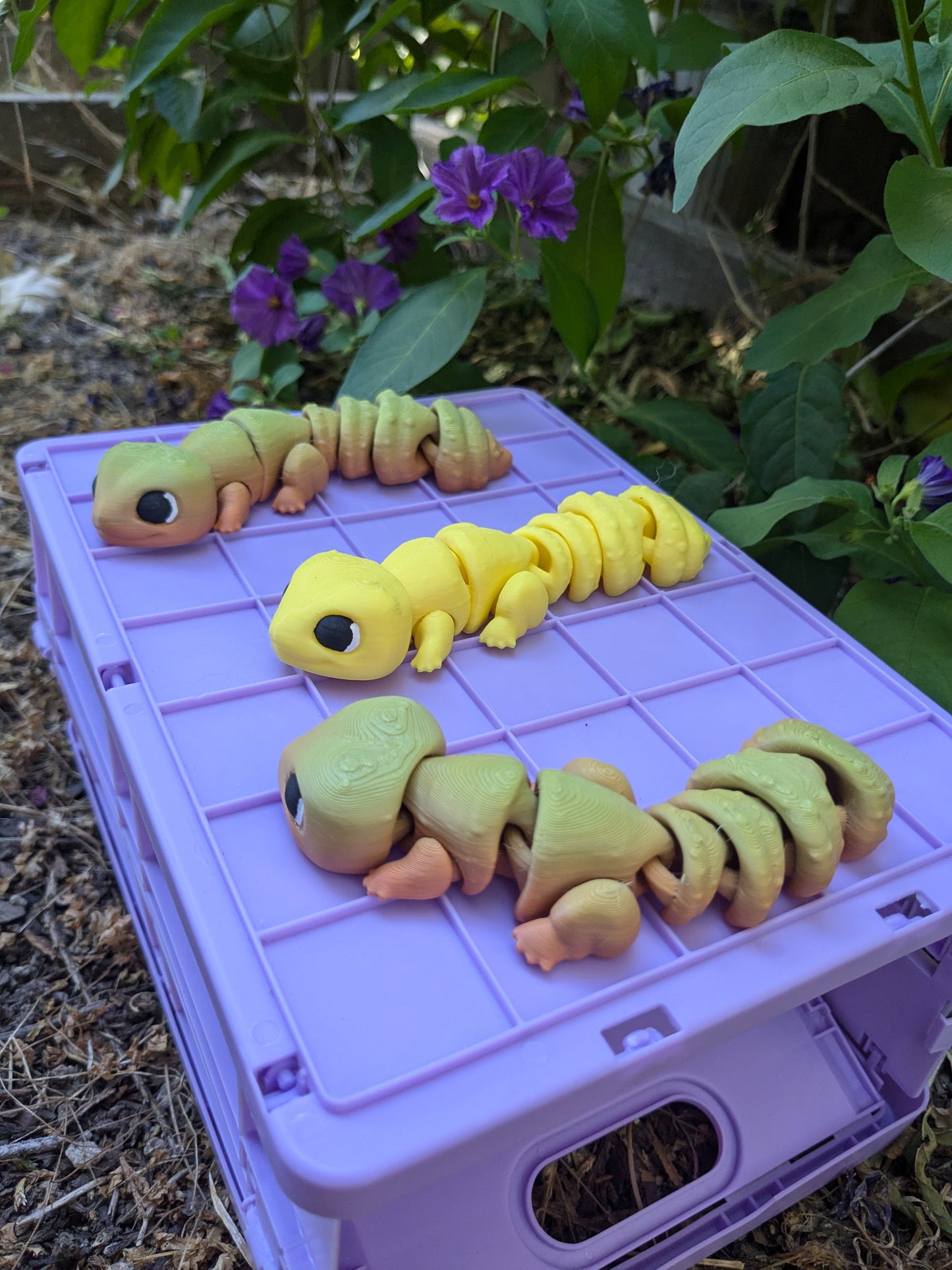 Leopard Gecko flexi