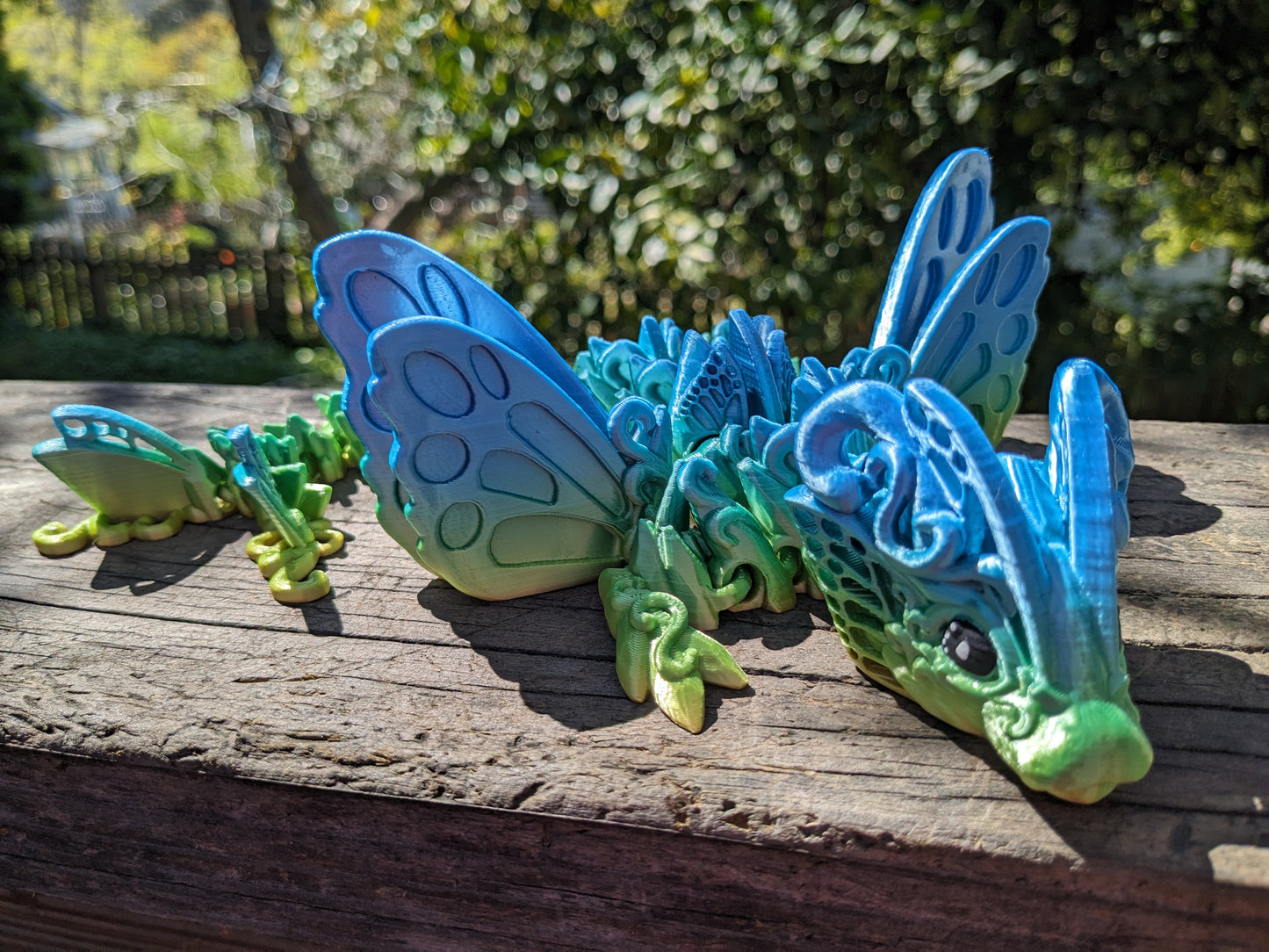 Butterfly Dragon