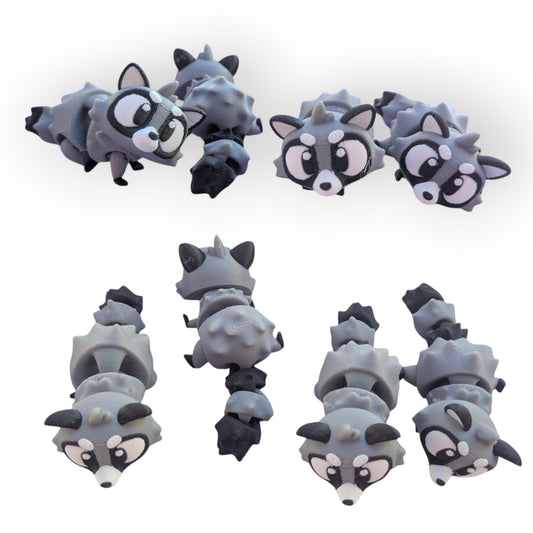 Raccoon