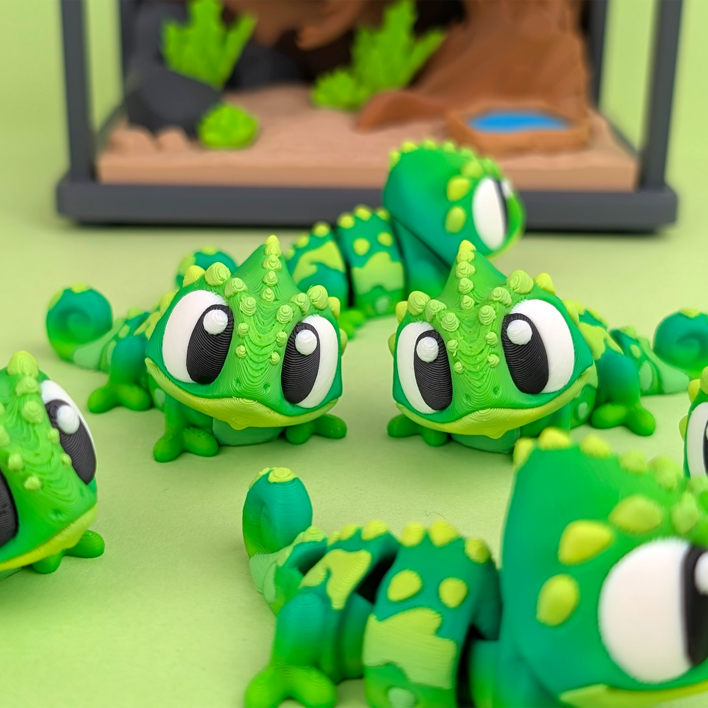 Reptile Enclosure