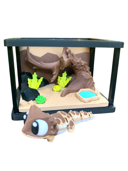 Bearded Dragon Enclosure