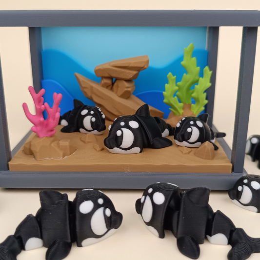Orca