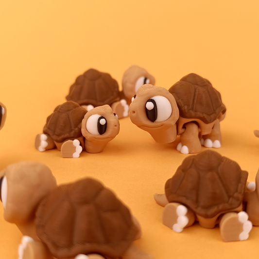 Tortoise