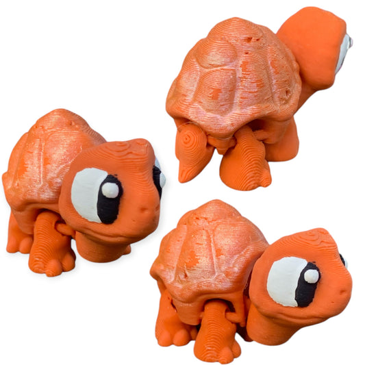 Tortoise